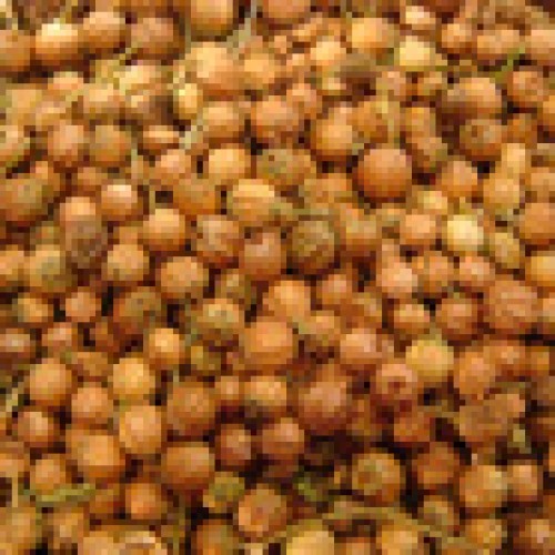 Coriander seeds